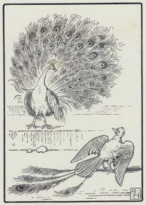 Le Geai et Le Paon - Richard Heighway