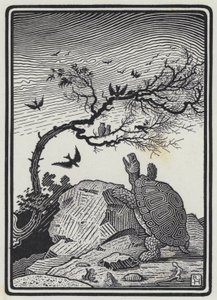 La Tortue et les Oiseaux