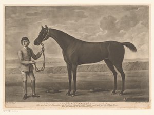 Cheval de course avec jockey