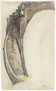 Saule creux - Richard Nicolaüs Roland Holst