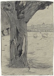 Saule têtard dans un paysage de prairie - Richard Nicolaüs Roland Holst