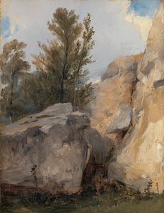 Dans la forêt de Fontainebleau