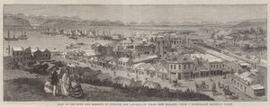 Partie de la ville et du port de Dunedin, capitale de l