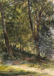Bois ensoleillés, Surrey - Richard Redgrave