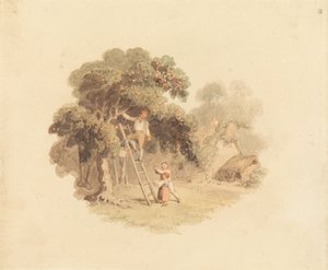 Un pommier près d