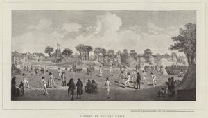 Cricket à Moulsey Hurst - Richard Westall