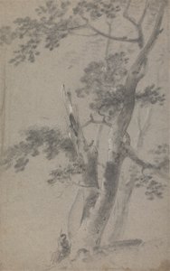 Berger Assis Sous un Arbre