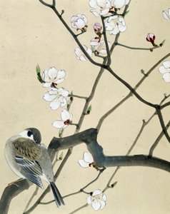Oiseau - dessin japonais par Riou Chim - Riu Chim