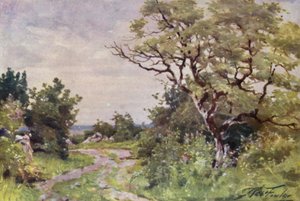 Chemin de campagne, près de Llanrug - Robert (after) Fowler