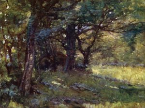 Dans les bois, Berwyn
