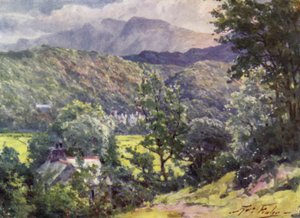 Dans les bois, Farchynys, estuaire de Barmouth
