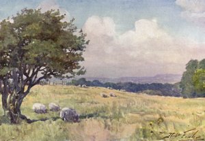 Champ ensoleillé, près de Llanberis (lithographie en couleur) - Robert (after) Fowler