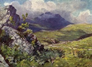 Vue de Moelwyn - Robert (after) Fowler