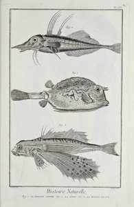 Illustration du 
