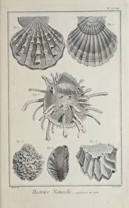 Illustration du 