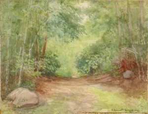 Sans titre (scène de forêt)