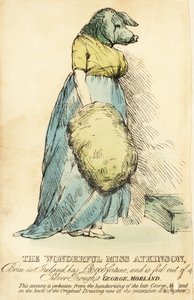 La Dame au Visage de Cochon, célèbre à Londres vers 1815