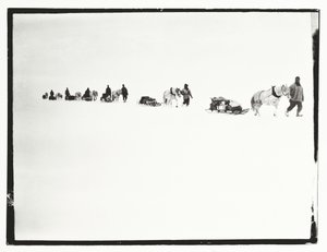 Poneys en marche, Grande Barrière de Glace, 2 décembre - Robert Falcon Scott