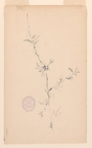 Branche - Robert Frederick Blum