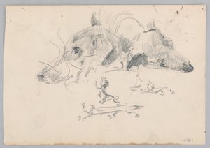 Chien et lion