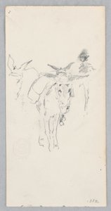 Ânes