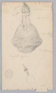 Pot en terre cuite - Robert Frederick Blum