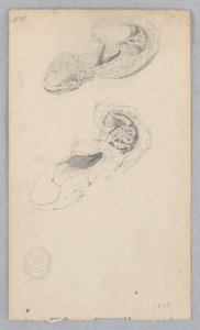 Chaussure - Robert Frederick Blum
