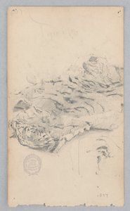 Tapis en Peau de Tigre - Robert Frederick Blum