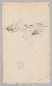 Tapis en peau de tigre - Robert Frederick Blum