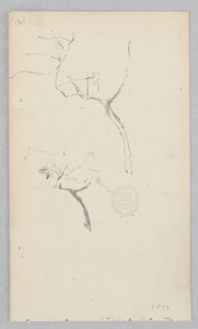 Arbre - Robert Frederick Blum