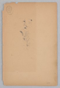 Femme - Robert Frederick Blum