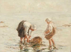 Pêche aux crevettes