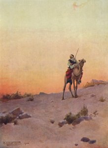Un éclaireur du désert