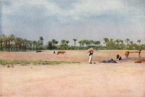 Esbet-El-Ekiad - Terre de Goshen, vers 1880, 1904