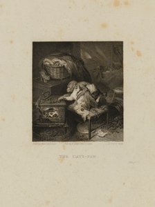 La patte du chat