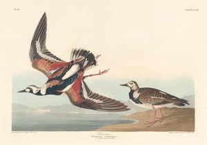 Tournepierre, 1836