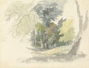 Une clairière boisée - Robert Hills