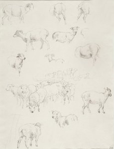 Troupeau de moutons, après 1794 - Robert Hills