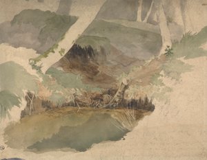 Étang forestier - Robert Hills