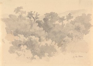 Dans les Vaux, Jersey - Robert Hills