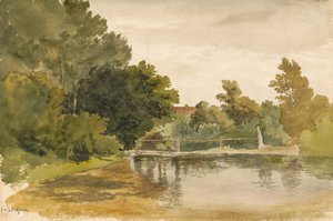 Reflets dans une mare boisée - Robert Hills