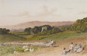 Le champ de navets - Robert Hills