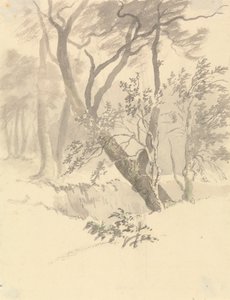 Le Bois - Robert Hills