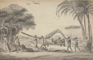 Voyageur en palanquin en Inde