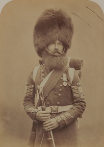 Sergent-major Macgregor, Garde des Fusiliers Écossais - Robert Howlett
