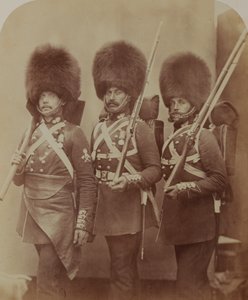 Pionniers et gardes Webster et Lemmen, Grenadier Guards - Robert Howlett