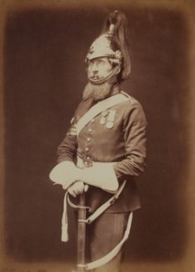 Sergent-major Bailey, 1er Royal Dragoon Guards - Robert Howlett