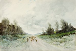 Une route du Northumberland - Robert J. Hewitt