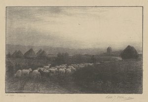La rentrée du troupeau