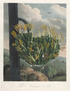 Le Temple de Flora, ou Jardin de la Nature : L